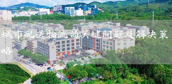 城市配送物流的关键问题及解决策略(图1)