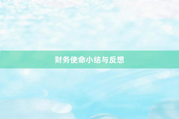财务使命小结与反想
